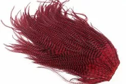 Cascade Grizzly Sadel -I Enden Av Snøret Salg 0eLnij 1679037022 53043 6323 901 pck