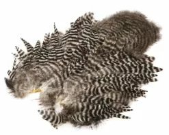 Whiting Rooster SH/C -I Enden Av Snøret Salg 1AZfG5 1680551068 59316 0 0 pck