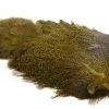 Whiting Coq De Leon Hen Soft Hackle With Chicabou – Speckled Copper Olive 2 Whiting Coq De Leon Hen Soft Hackle With Chicabou – Speckled Copper Olive -I Enden Av Snøret Salg 1cAtop 1680544919 57623 0 0 pck