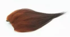 Bauer Premium Nayat XL -I Enden Av Snøret Salg 1yG74b 1679039911 48466 85 48 pck