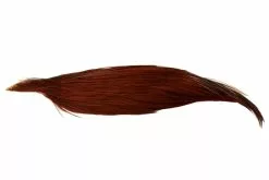 Whiting Bronze 1/2 Hanenakke -I Enden Av Snøret Salg 47XFUt 1680549096 58809 0 0 pck