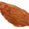 Whiting American Rooster Cape – Dyed Brown -I Enden Av Snøret Salg 4ZLxH8 1680544638 57562 0 0 pck
