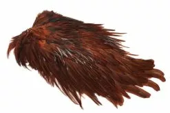 Whiting American Rooster Saddle Coachman Brown