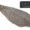 Whiting American Rooster Cape – Grizzly ( Vaskebjørn ) -I Enden Av Snøret Salg 5eaTUG 1680544672 57568 0 0 pck
