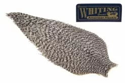 Whiting American Rooster Cape – Grizzly ( Vaskebjørn )