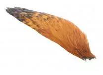 1/2 Whiting American Rooster Cape 5 1/2 Whiting American Rooster Cape - Bilde 3