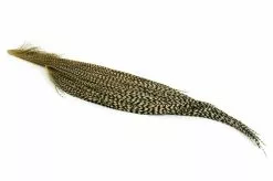 Whiting Pro Grade 1/2 Cape -I Enden Av Snøret Salg 6jdHAg 1679037521 53286 6376 198 pck