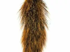 Silver Tip Squirrle Tail
