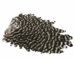 Whiting American Hen Saddle -I Enden Av Snøret Salg 7pb1aw 1680550753 59260 0 0 pck