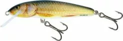 Salmo Minnow 6cm 4g RR RR 4 G