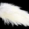 American Rooster Saddle – White -I Enden Av Snøret Salg ClK2w0 1680544738 57580 0 0 pck