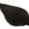Whiting American Rooster Cape – Black 1 Whiting American Rooster Cape – Black -I Enden Av Snøret Salg CoQLRn 1680544632 57561 0 0 pck