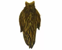 American Hen Cape Black Laced