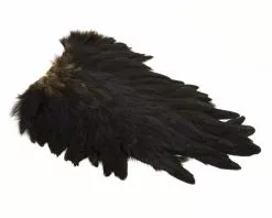 Whiting American Hen Saddle -I Enden Av Snøret Salg EaLVAR 1680550991 59308 0 0 pck