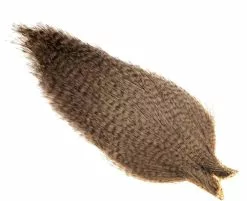 Whiting Coq De Leon Rooster Cape -I Enden Av Snøret Salg HJRnTA 1679036590 48580 8510 947 pck