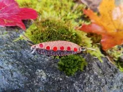 Spinn Craft Trout1 10g/55mm Cobber/Svart Røde Prikker/Orange Prikker