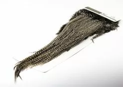 Whiting Hebert Pro Grade Saddle -I Enden Av Snøret Salg HtD8Il 1680551010 59310 0 0 pck