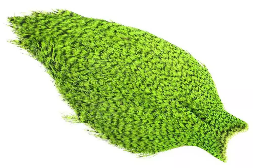 Whiting American Rooster Cape – Grizzly Chartreuse 3 Whiting American Rooster Cape – Grizzly Chartreuse