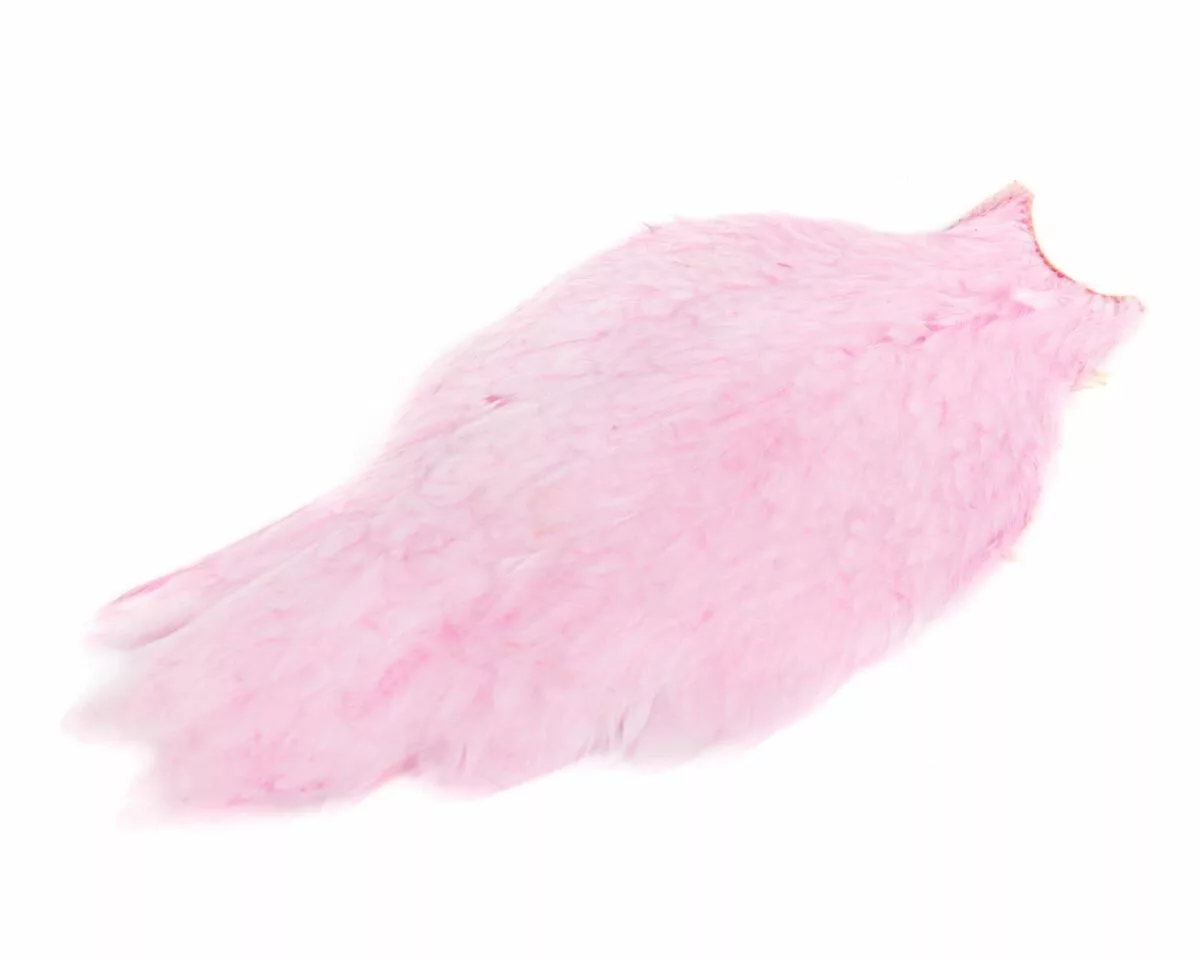 American Hen Cape 3 American Hen Cape