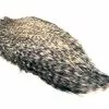 Whiting (Silver Grade) Whiting Spey Rooster – Grizzly -I Enden Av Snøret Salg Kkusor 1680556134 61293 0 0 pck
