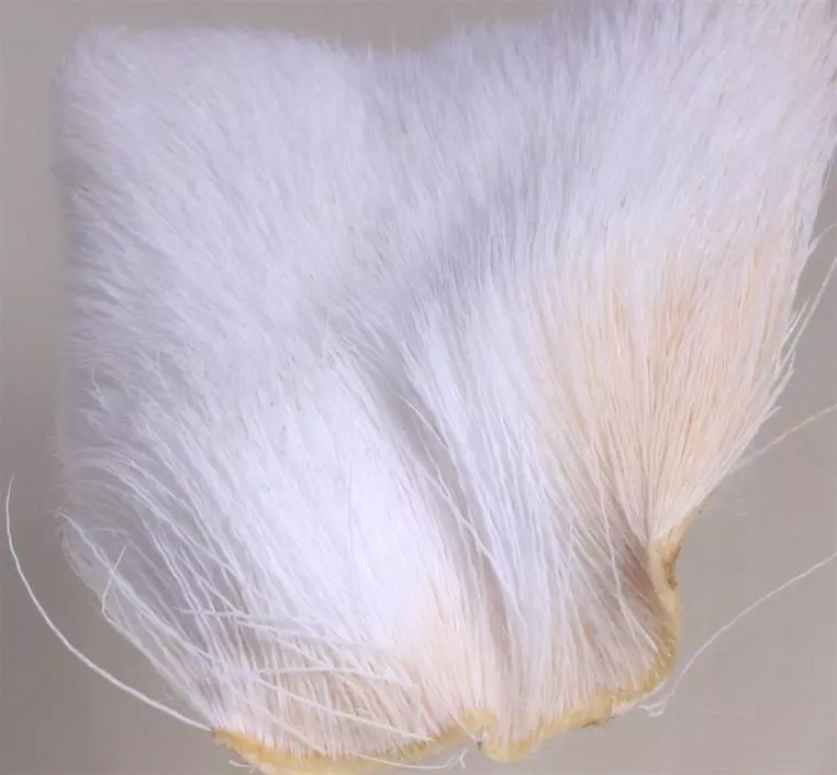 Deer Belly Hair 6 Deer Belly Hair - Bilde 4