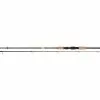 Daiwa Laguna XT 10′ 20-60g / 4-Delt -I Enden Av Snøret Salg OtBxC7 1679015522 48691 0 0 pck