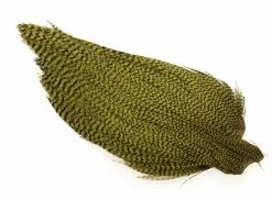 Ewing #1 Grizzly Cape