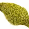 Whiting American Rooster Cape – Grizzly Yellow 1 Whiting American Rooster Cape – Grizzly Yellow -I Enden Av Snøret Salg Oycb8a 1680544645 57563 0 0 pck