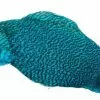 Keough Saltwater Cape Grizzly Kingfisher Blue