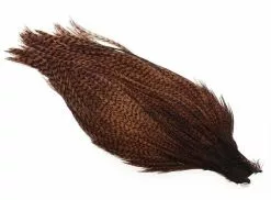 Ewing #1 Grizzly Cape -I Enden Av Snøret Salg SuKtGy 1679029811 57401 10034 78 pck