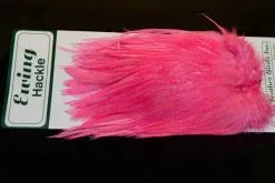 Ewing Rooster Saddle Pink