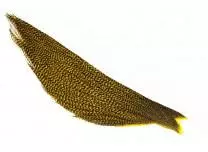 ½ Whiting Rooster High N Dry