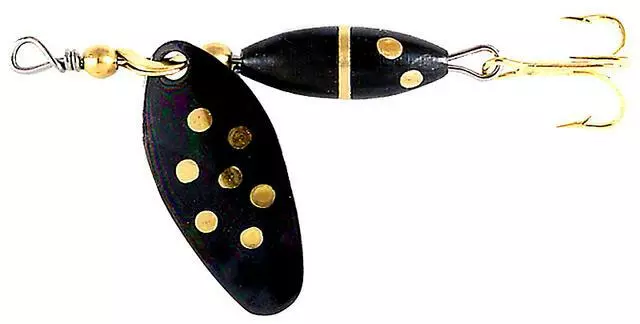 Myrans Panter 17 Myrans Panter - Bilde 15