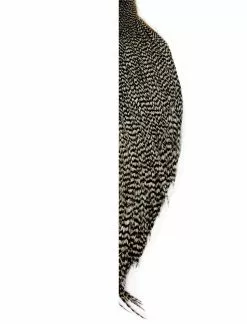 Whiting Rooster High N Dry ½ – Grizzly Medium Dun