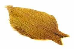 Whiting Coq De Leon Rooster Cape -I Enden Av Snøret Salg Y9gTza 1679036547 48580 8522 958 pck