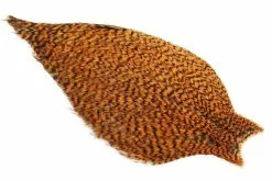 Whiting American Rooster Cape – Grizzly Shrimp Orange