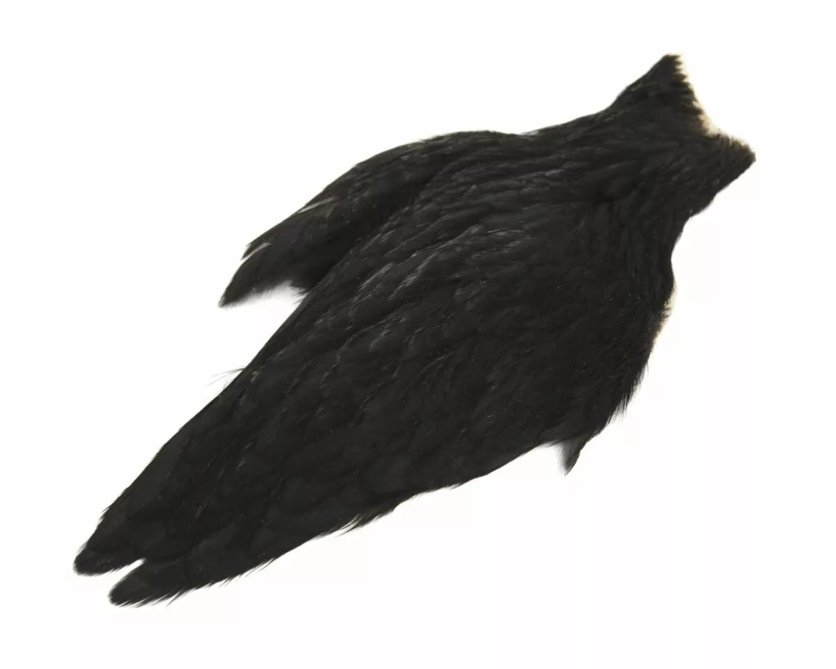 American Hen Cape 6 American Hen Cape - Bilde 4