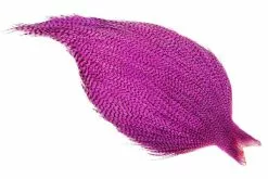 Whiting High N Dry – Grizzly Pink