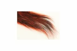 Silver Tip Squirrle Tail -I Enden Av Snøret Salg cCmBxA 1680558083 61620 0 0 pck