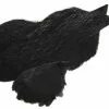Whiting 4 B´s Hen Cape – Black -I Enden Av Snøret Salg cXpquT 1680545147 57659 0 0 pck