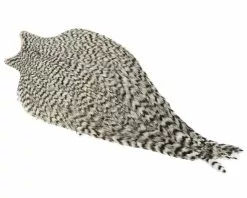 Whiting Freshwater Streamer Cape Grizzly