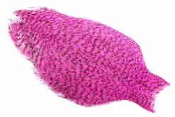 Whiting American Rooster Cape – Grizzly Hot Pink