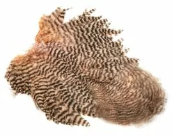 Whiting American Hen SH/C Grizzly Dyed Salmon