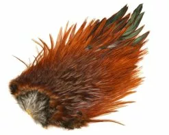 Whiting 4 B´s Rooster Saddle -I Enden Av Snøret Salg iq5oNJ 1680551131 59322 0 0 pck