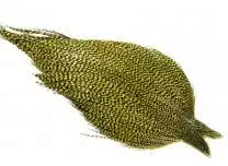 Whiting High & Dry Cape