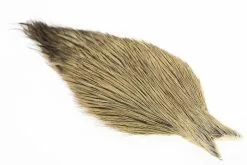 Whiting Coq De Leon Rooster Cape -I Enden Av Snøret Salg p3H1xl 1679036616 48580 8515 913 pck