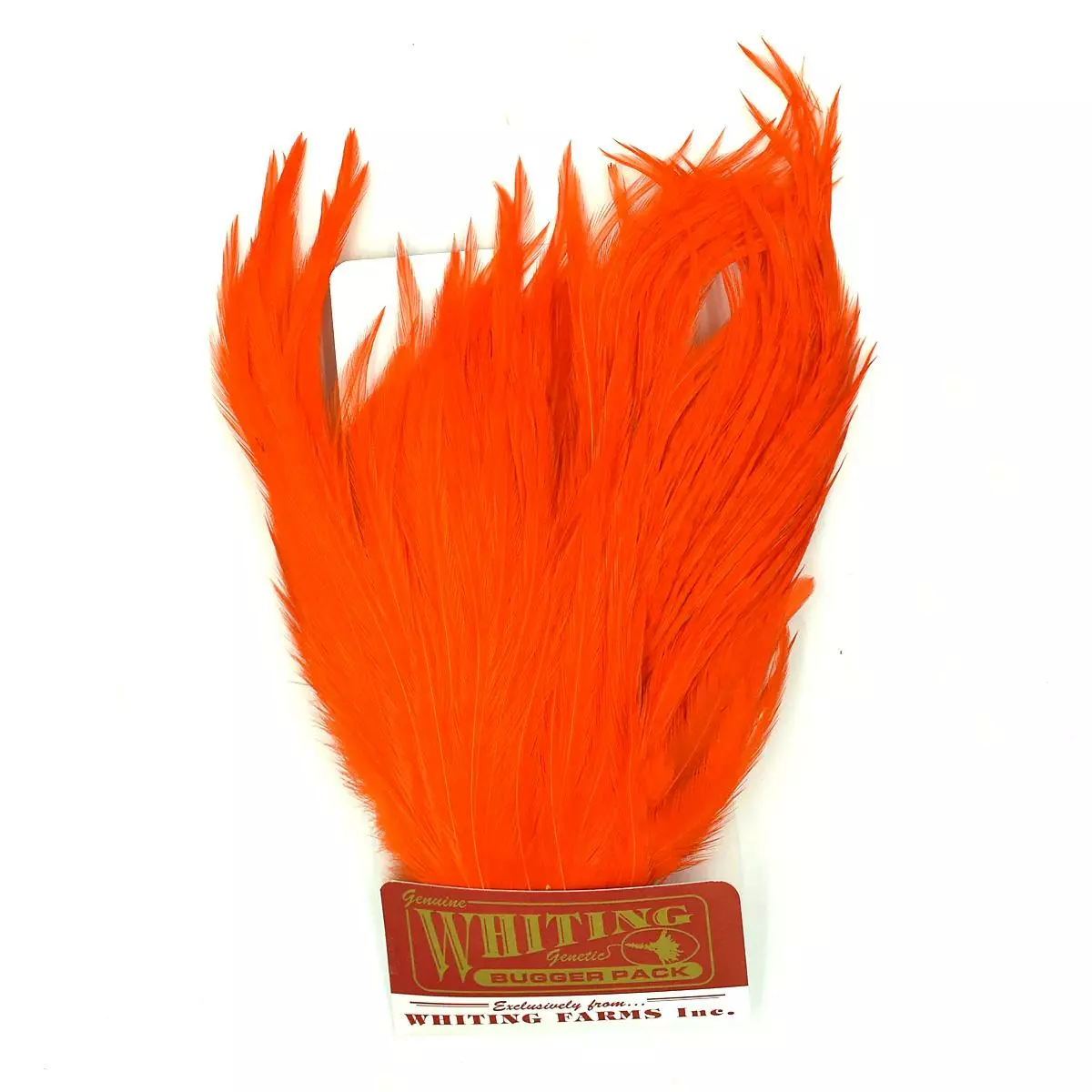 Whiting Bugger Pack 5 Whiting Bugger Pack - Bilde 3