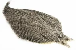 Whiting Coq De Leon Rooster Cape -I Enden Av Snøret Salg qRz8xW 1679036595 48580 8511 198 pck