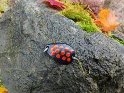 Spinn Craft Trout5 9g/45mm Svart/Rød Prikker