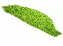 1/2 Whiting American Rooster Cape 7 1/2 Whiting American Rooster Cape - Bilde 5